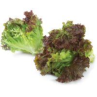 Lettuce - Organic, Red Leaf, 1 Each