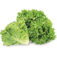 Lettuce & Greens - Organic, Green Leaf Lettuce, 1 Each