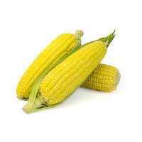 Corn - On The Cob Organic