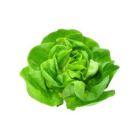 Lettuce - Butter Green Organic, 1 Each