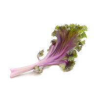 Kale - Red/Purple Organic, 1 Each
