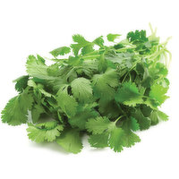 Cilantro (Coriander) - Organic, Bunch Fresh, 1 Each