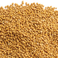 Mustard - Seeds Whole, Bulk, 100 Gram