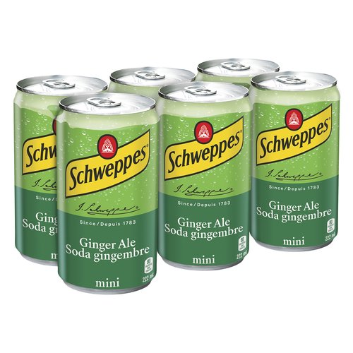 Ginger Ale Soda