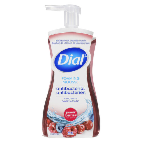 Dial - Antibacterial Foaming Hand Wash - Power Berries