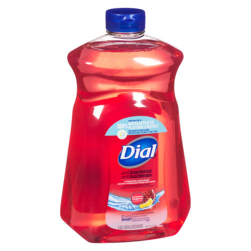 Dial - Refill Pomegranate & Tangerine hand soap