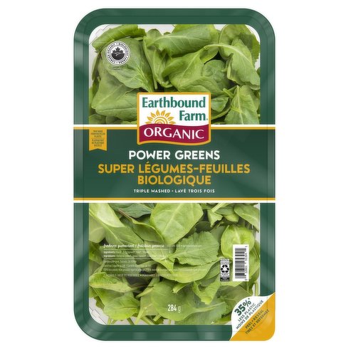 A Super-Versatile Mix of Tender Baby Spinach, Baby Red and Green Chards, and Baby Kale.