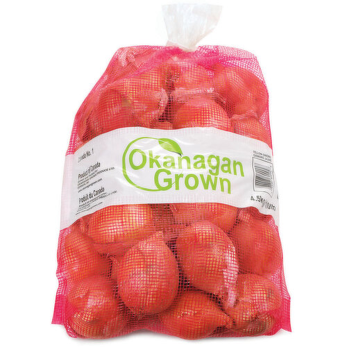 Sliced Red Onion Bag 70g –