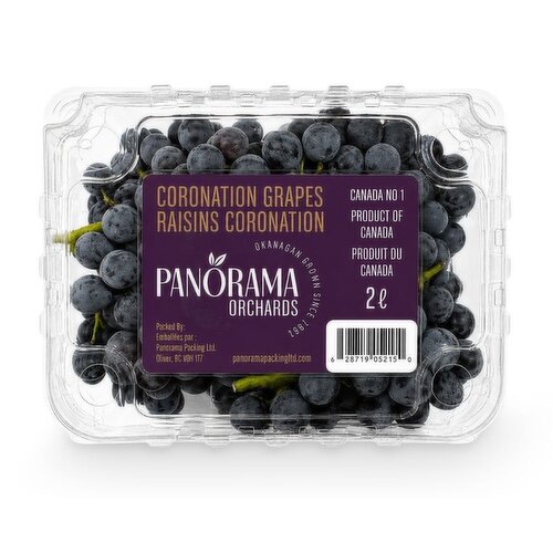 Grapes - Coronation, Okanagan Grown
