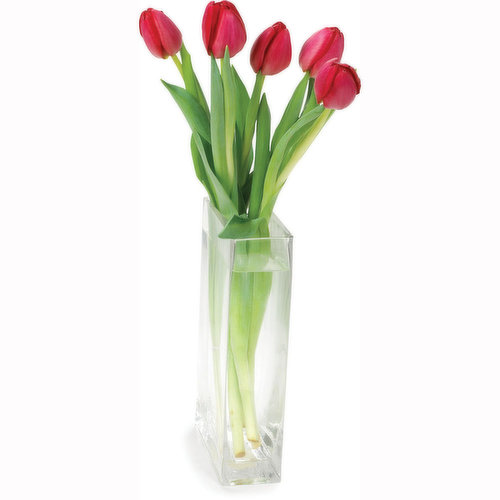 Tulips - Assorted Colours, 5 Stem