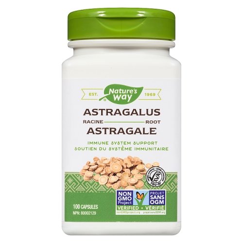 Nature's Way - Astragalus Root