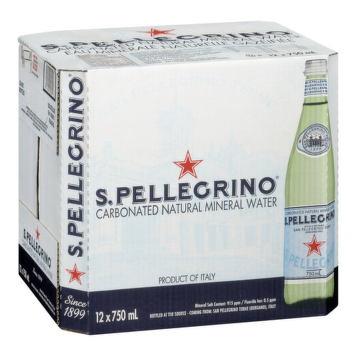 S.Pellegrino - Carbonated Natural Mineral Water