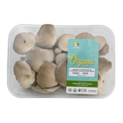 Fresh - Organic Oyster Mushrooms