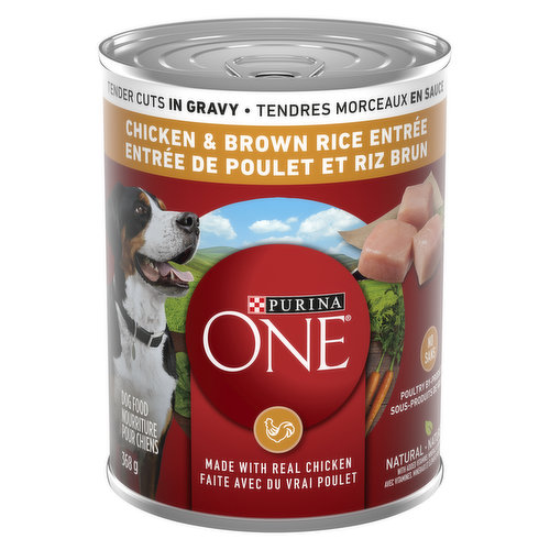 Purina - Tender Cuts in Gravy Chicken & Brown Rice Entr Wet Dog Food 368 g