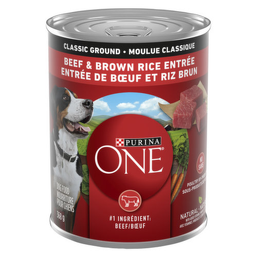 Purina ONE - Classic Ground Beef & Brown Rice Entr Wet Dog Food 368 g