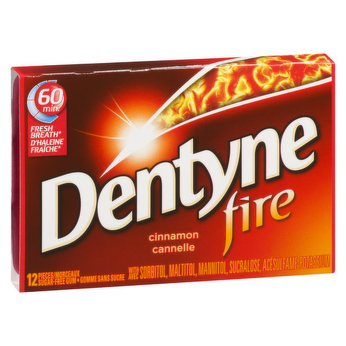 Dentyne - DENTYNE FIRE CNNMN SINGLES