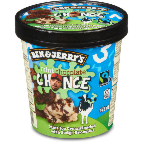 Ben & Jerry's - Mint Chocolate Chance Ice Cream