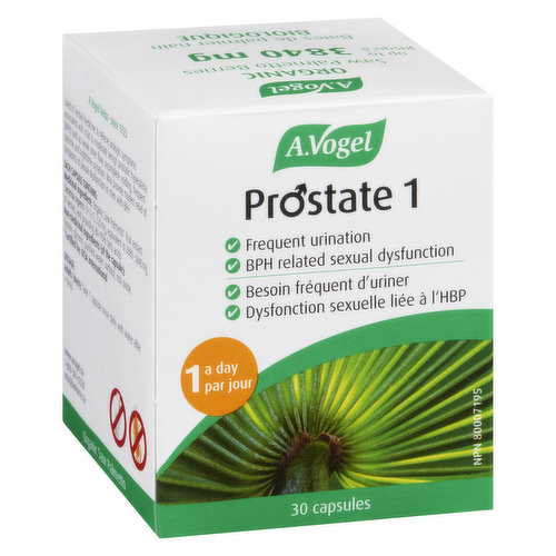 A.Vogel - Prostate 1