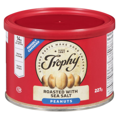 Trophy - Peanuts Blanched Roasted & Salted