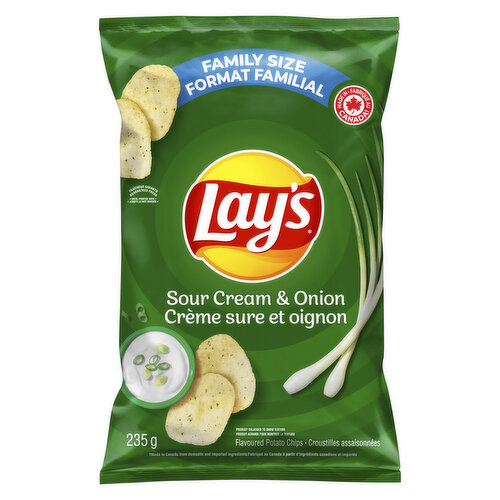 Potato Fries Sour Cream and Onion Seasoning Powder 100 GRAMS