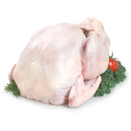 Average Weight of each Turkey 5-7kg