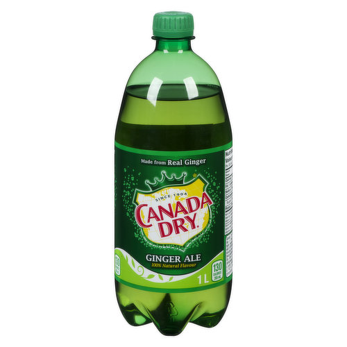 Canada Dry Original Ginger Ale Singles To Go Powdered Drink Mix