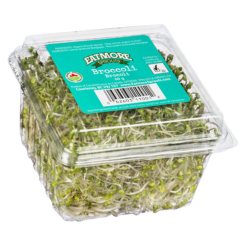 Eatmore - Organic Broccoli Sprouts