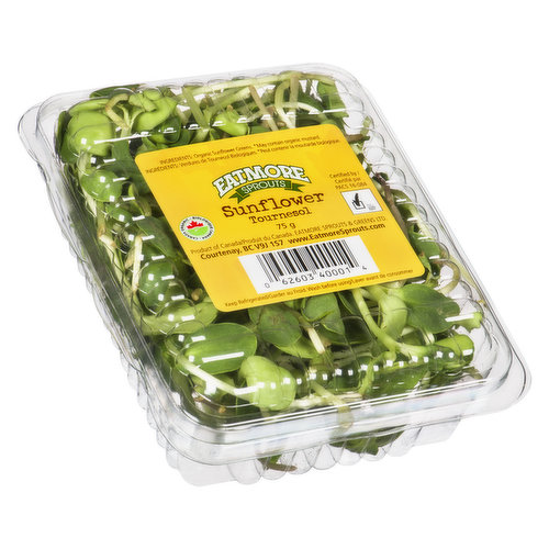 Eatmore - Sunflower Sprouts