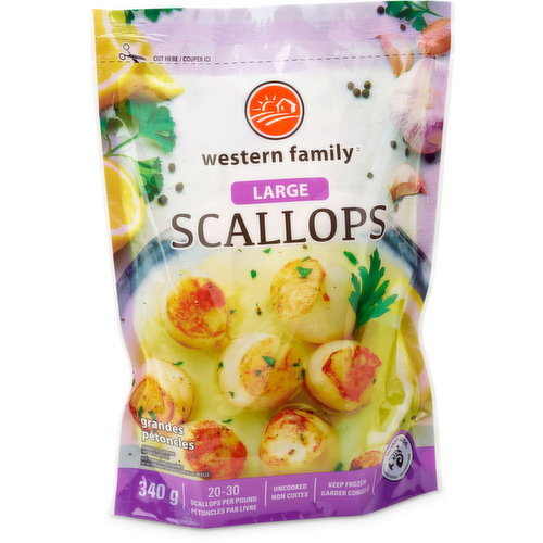 Western Family - Frozen Scallops - Large