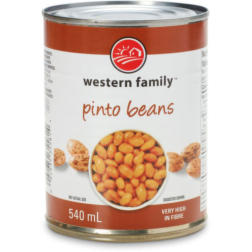 Western Family - Pinto Beans