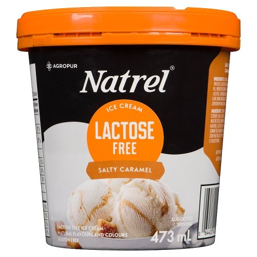 Natrel - Ice Cream Lactose Free Salty Caramel