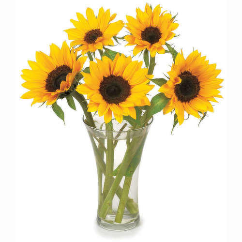 Sunflowers - Flower Boquet