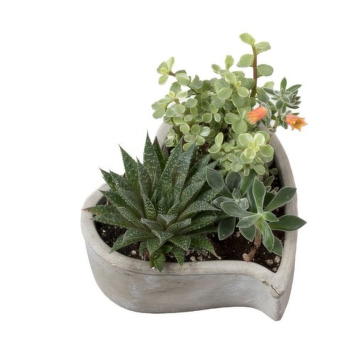 Planter - Cement Heart Planter 8IN