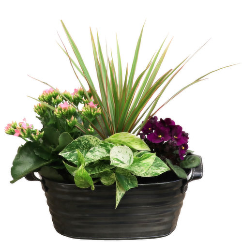 Planter - Geo 11 Inch