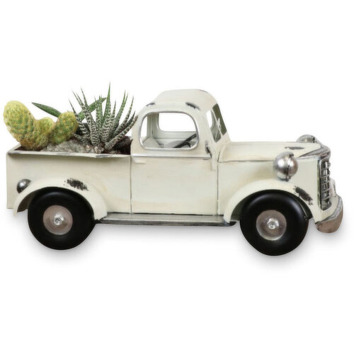 Potted Plants - Metal Truck Planter