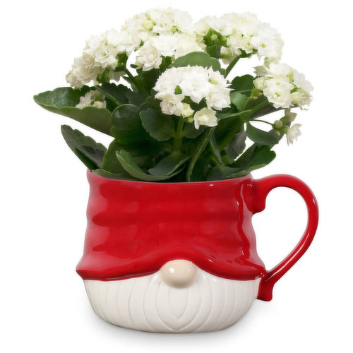 Christmas Gnome Mug - Assorted Flowers, 4 inch