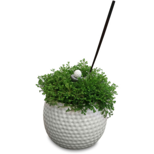 Golf - Ball Planter