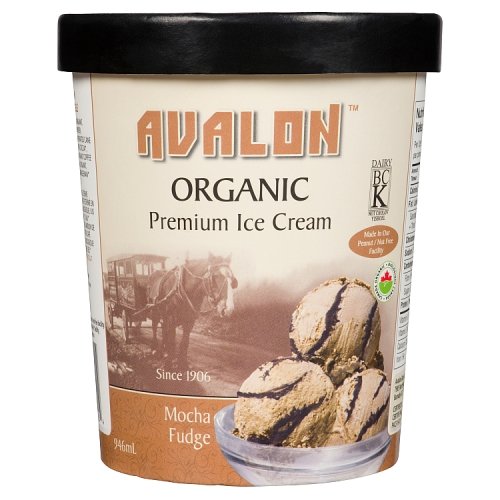 Avalon - Ice Cream Mocha Fudge Organic