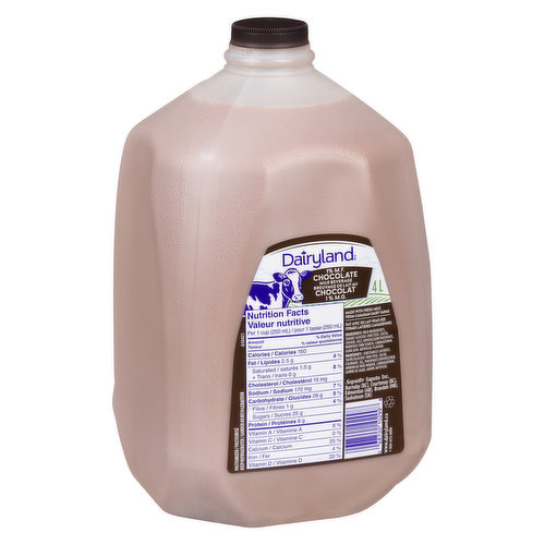 Dairyland - Chocolate Milk 1% Skim