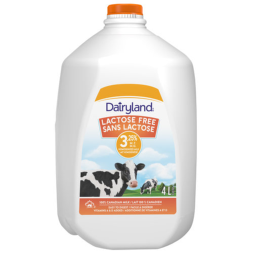 Dairyland - Lactose Free Homogenized 3.25% Milk