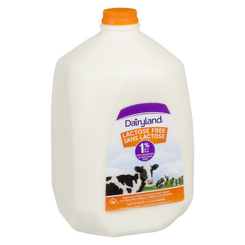 Dairyland - Lactose Free 1% Milk