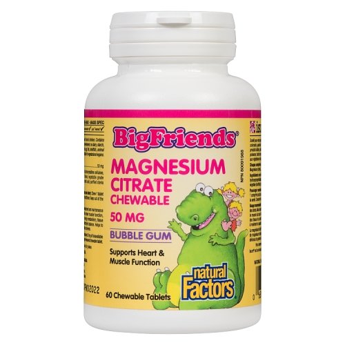 Natural Factors - Big Friends Magnesium Citrate Chewable Bubble Gum