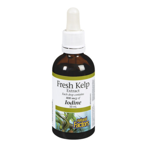 Natural Factors - Fresh Kelp Extract