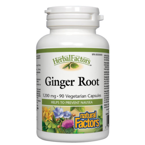 Natural Factors - HerbalFactors Ginger Root 120mmg