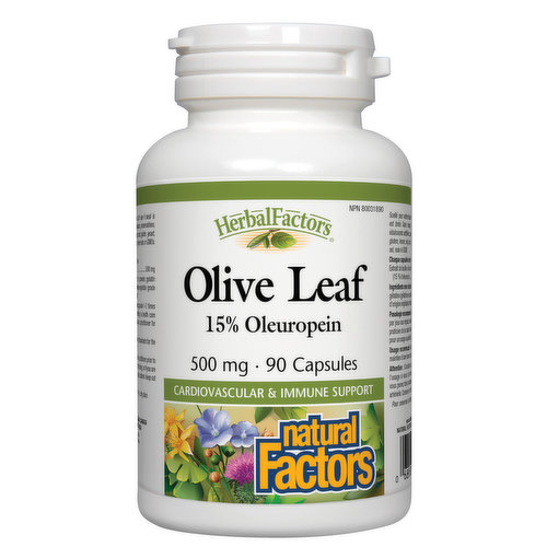 Natural Factors - HerbalFactors Olive Leaf 500mg