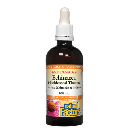 Natural Factors - Echinamide Echinacea & Goldenseal Tincture