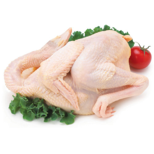 Fresh - Female H/F Taiwanese Specialty Chicken