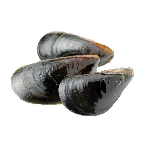 Save-On-Foods - Live Mussel