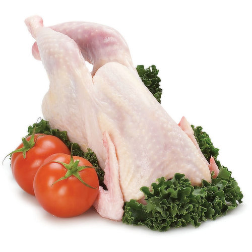 Save-On-Foods - Mature Small Stewing Hen, Fresh