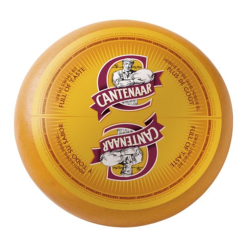 Cantennar - Holland Dutch Cheese